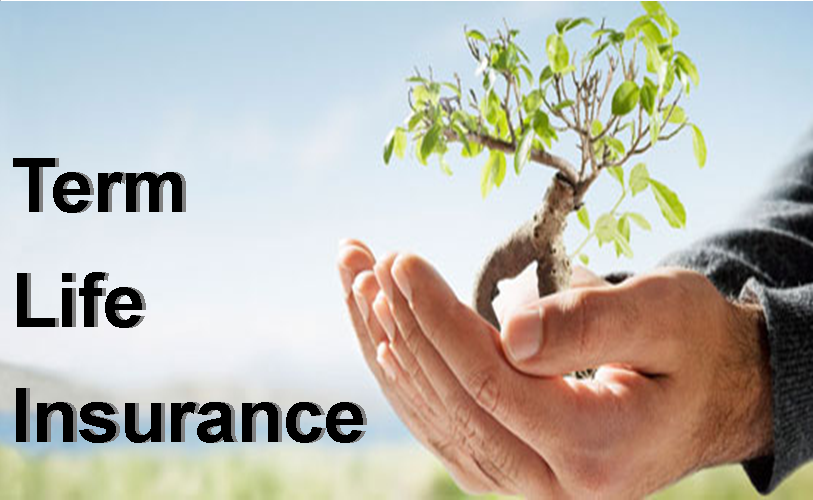 Best Term Insurance Plan In India