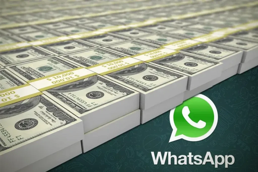How does WhatsApp Earn Money