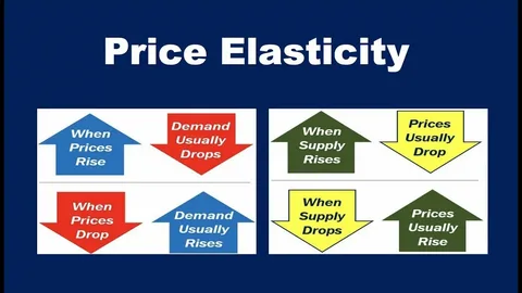 What Is Price Elasticity of Demand